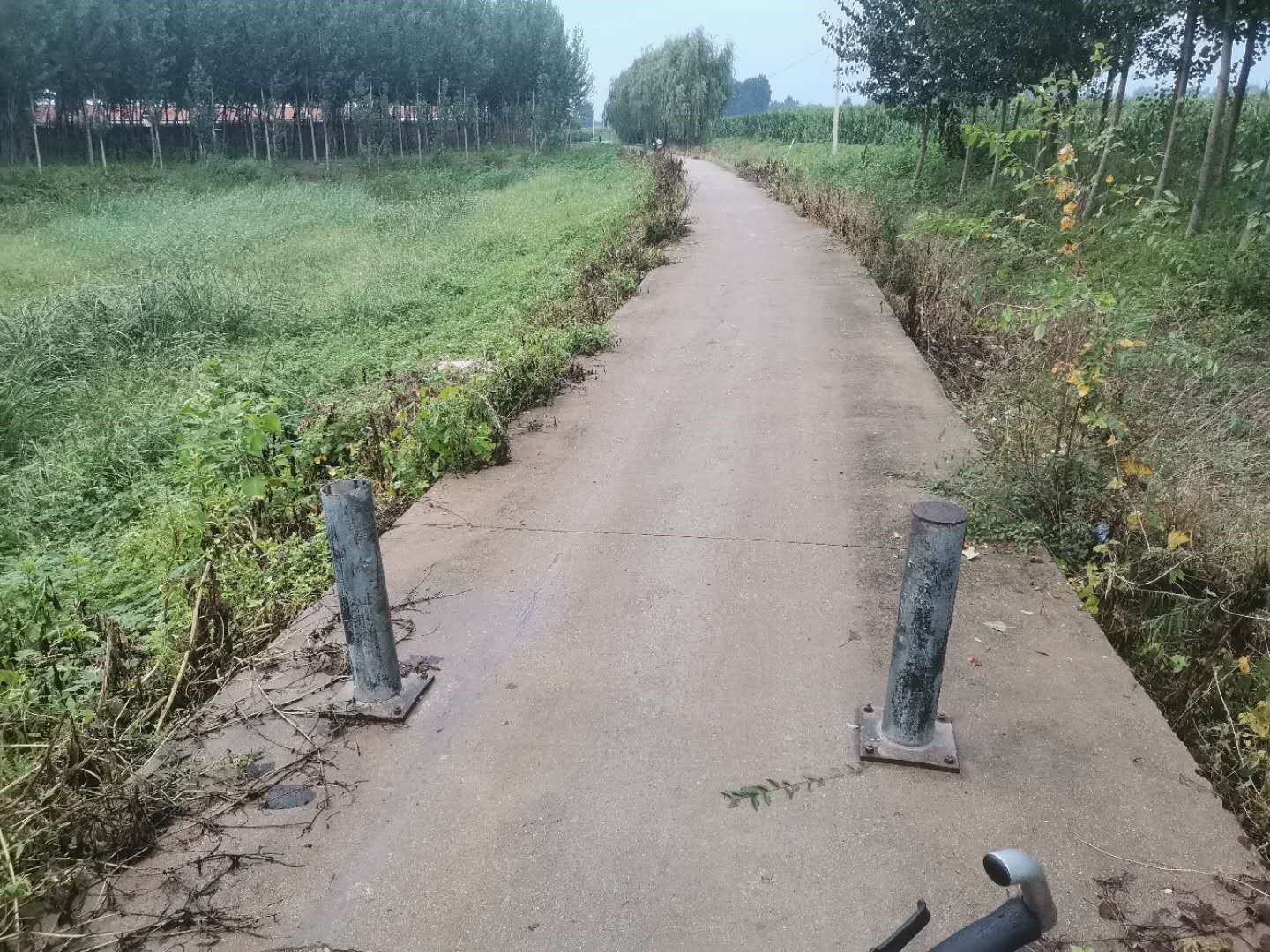 小路入口