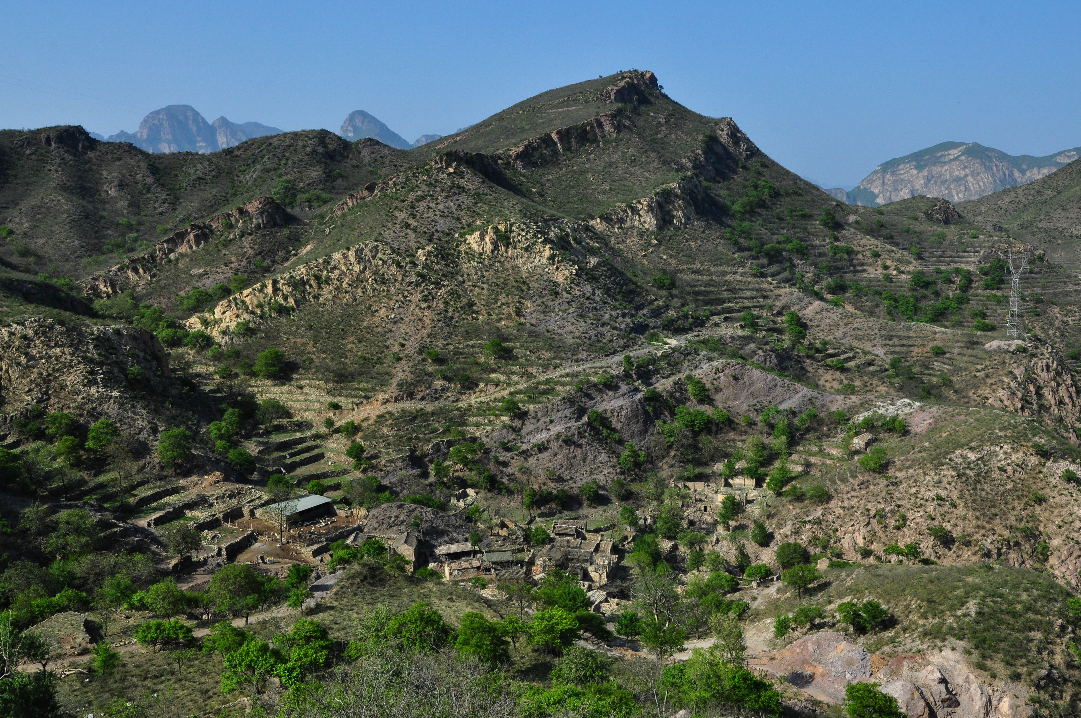 杨树地村