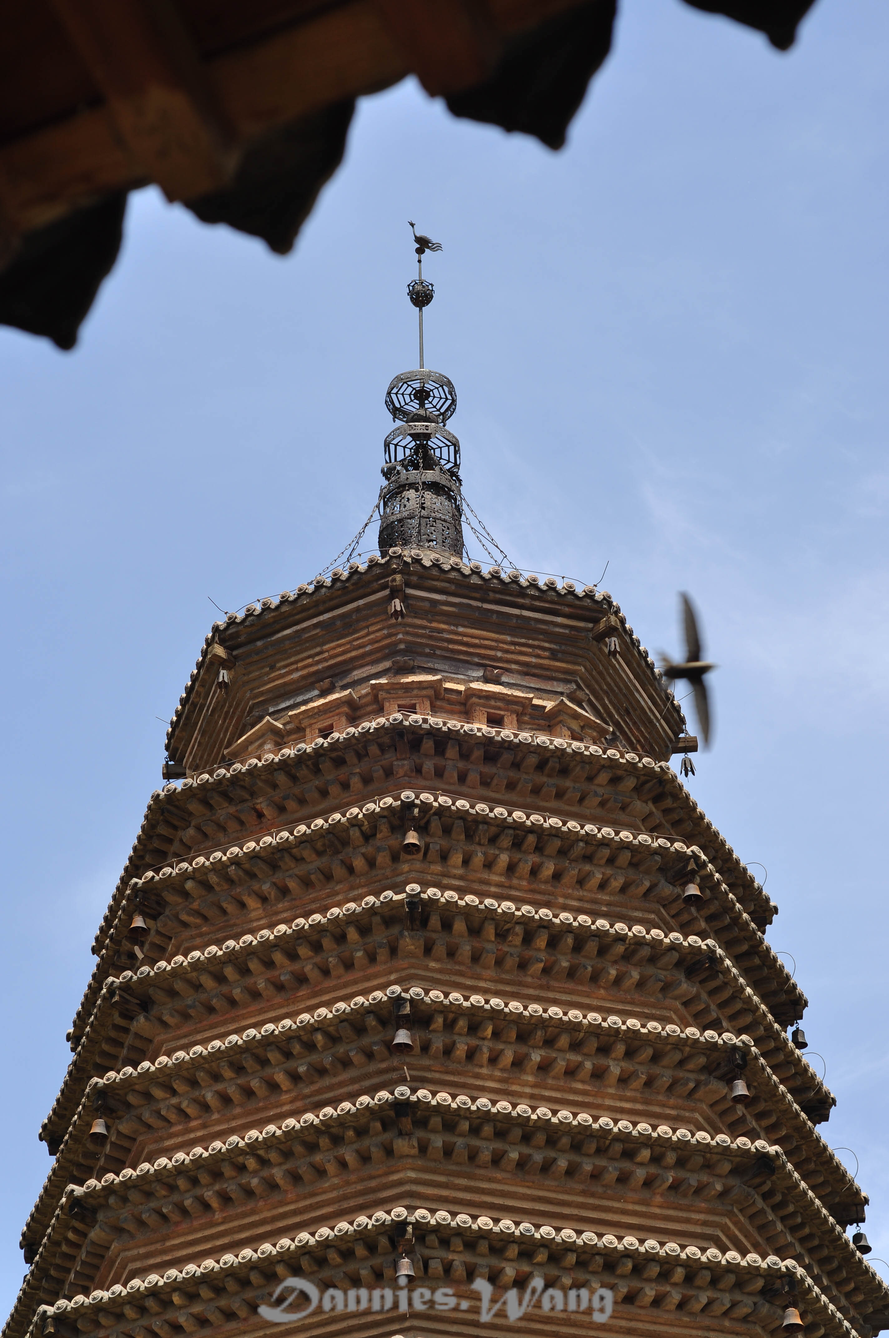 塔与飞鸟