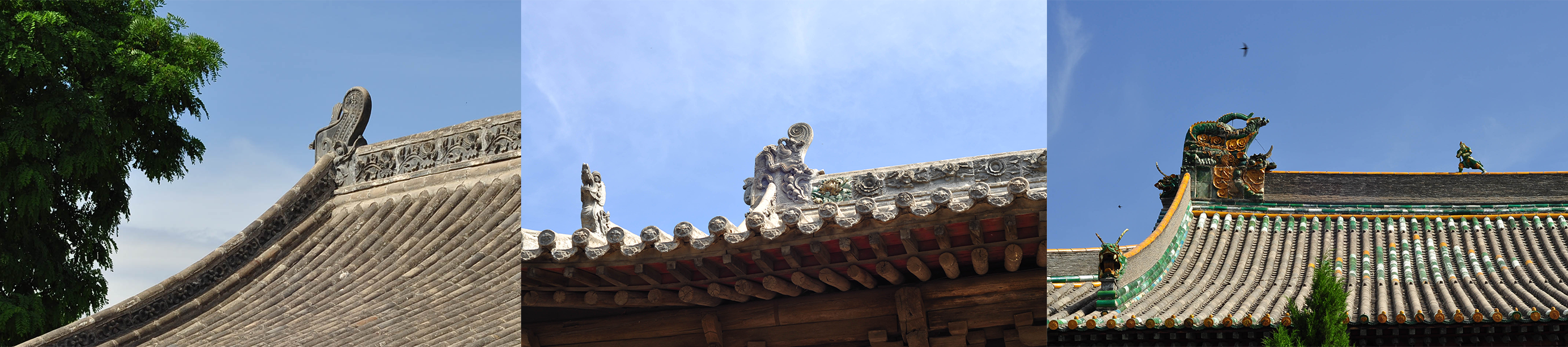 摩羯鱼